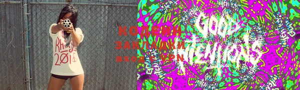apvp Магас