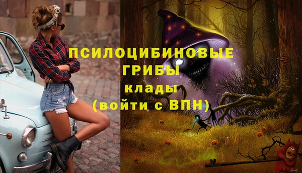 экстази Заволжск