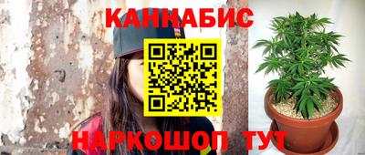 дурь Бийск