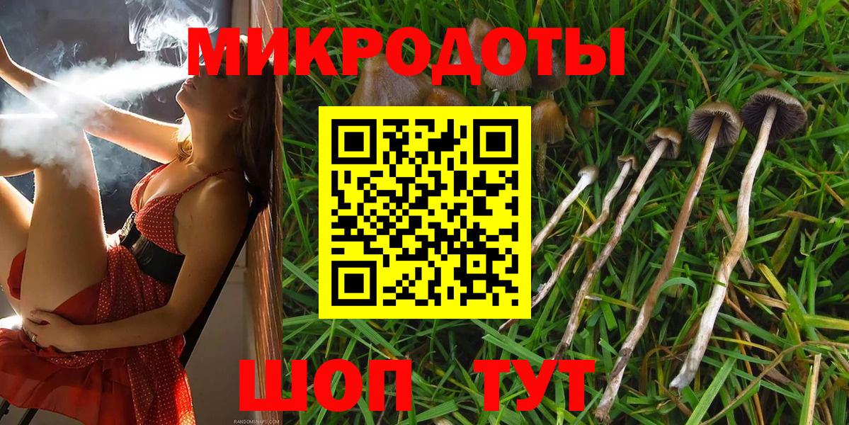 Елабуга  Псилоцибиновые грибы мицелий  Галлюциногенные грибы прущие грибы  Вход с VPN 