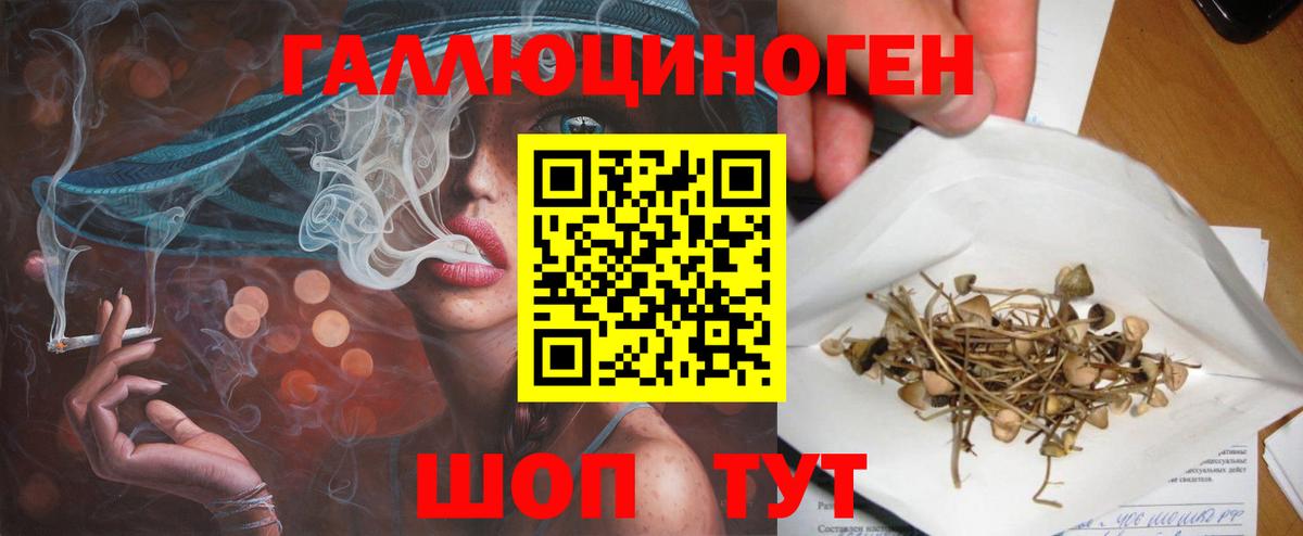 Псилоцибиновые грибы прущие грибы Елабуга