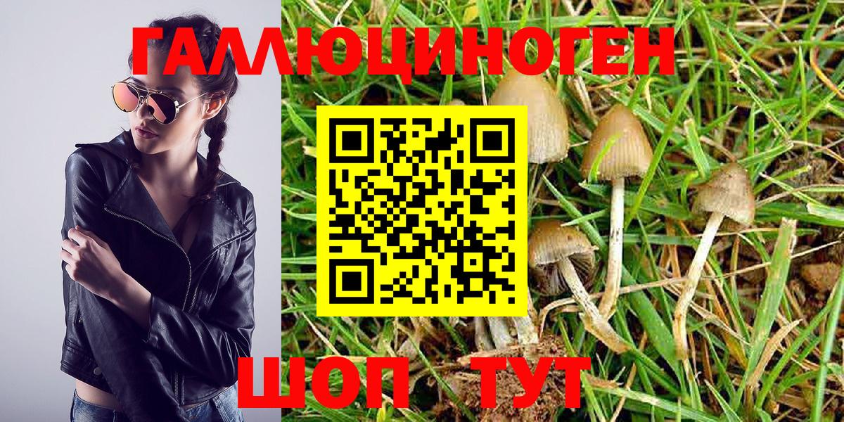 Галлюциногенные грибы прущие грибы  Галлюциногенные грибы мухоморы  Елабуга 